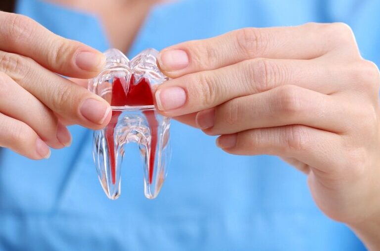 female-dentist-holding-tooth-model-close-Stem-Cell-Fillings-ss-FEATURE-